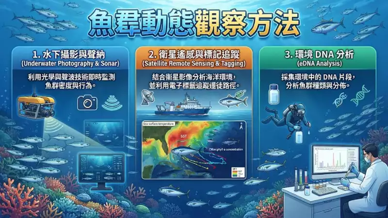 魚羣動態觀察方法